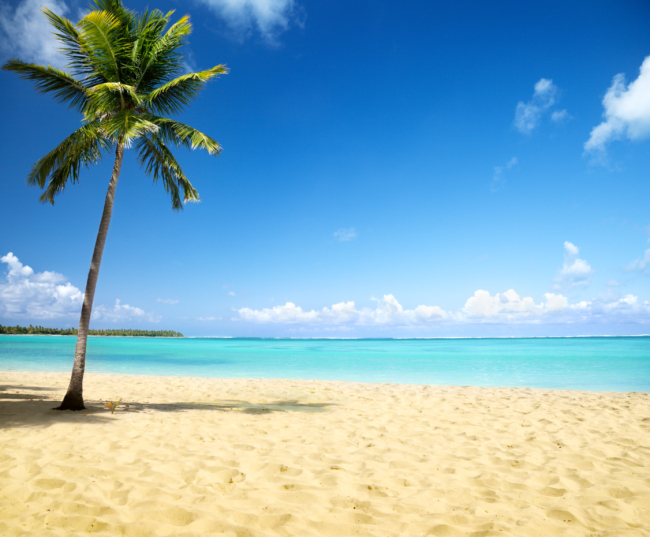 Say ‘Aloha’ To Your Dream Job In&nbsp;Paradise
